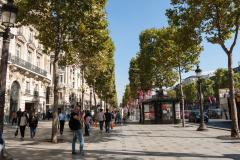 Avenue des Champs-Elysées : un lieu stratégique pour les marques