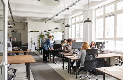 Des salariés travaillant à leur bureau dans un open space.